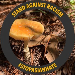 Meet your Posher, Annalise